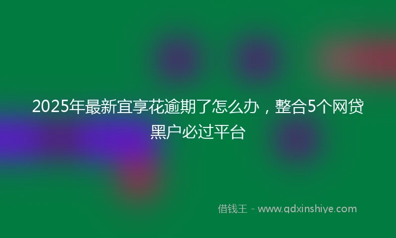 2025年最新宜享花逾期了怎么办，整合5个网贷黑户必过平台