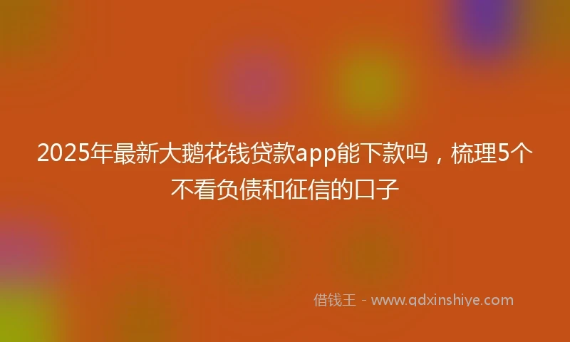 2025年最新大鹅花钱贷款app能下款吗，梳理5个不看负债和征信的口子
