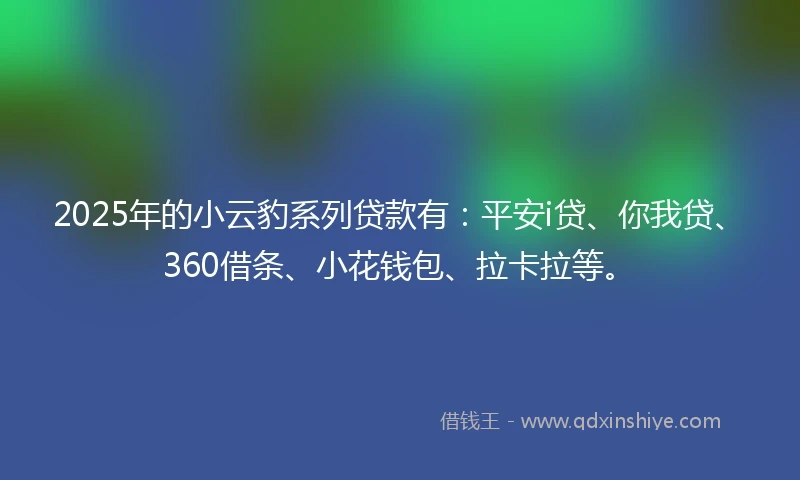 2025年的小云豹系列贷款有：平安i贷、你我贷、360借条、小花钱包、拉卡拉等。