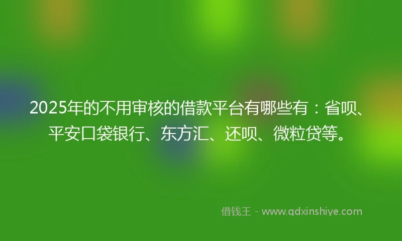 2025年的不用审核的借款平台有哪些有：省呗、平安口袋银行、东方汇、还呗、微粒贷等。