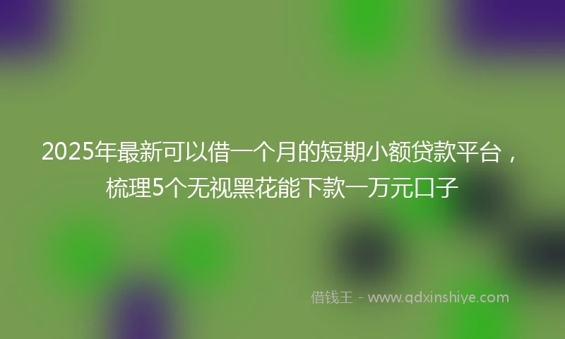 2025年最新可以借一个月的短期小额贷款平台，梳理5个无视黑花能下款一万元口子