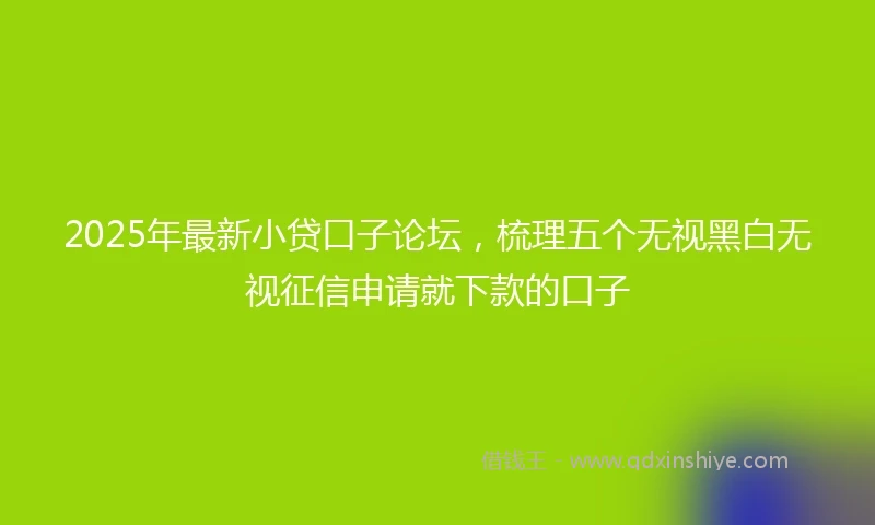 2025年最新小贷口子论坛，梳理五个无视黑白无视征信申请就下款的口子