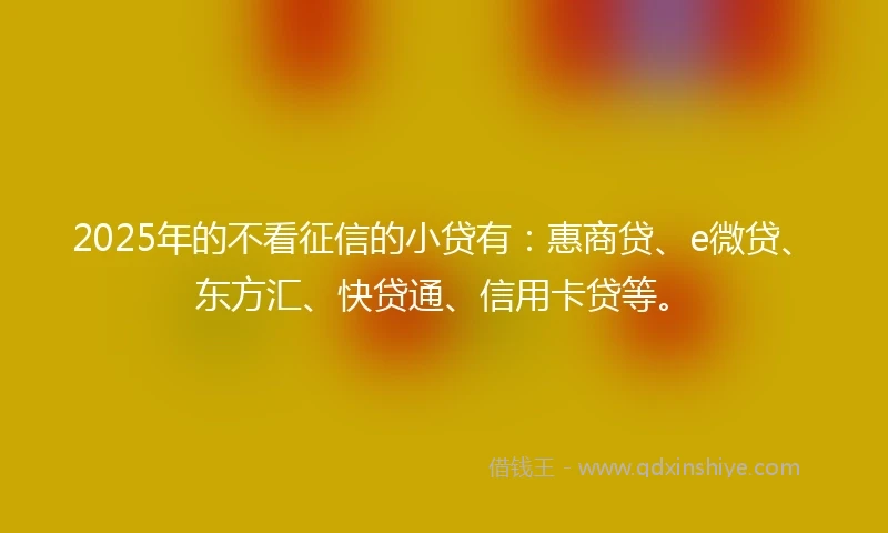 2025年的不看征信的小贷有：惠商贷、e微贷、东方汇、快贷通、信用卡贷等。