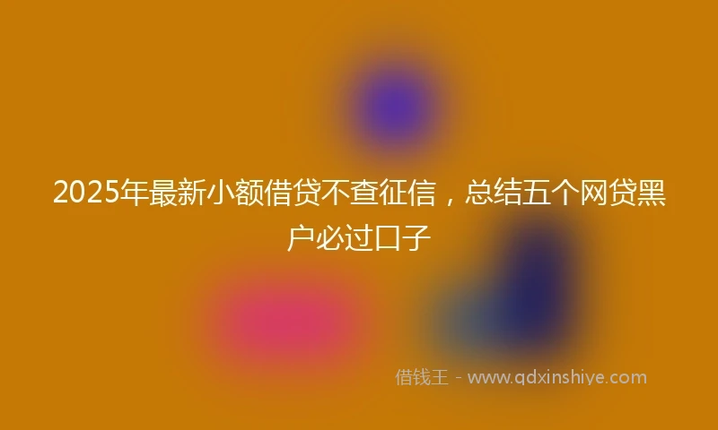 2025年最新小额借贷不查征信，总结五个网贷黑户必过口子