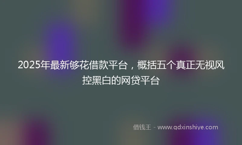 2025年最新够花借款平台，概括五个真正无视风控黑白的网贷平台