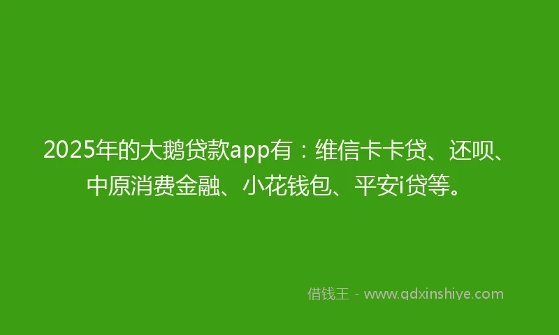 2025年的大鹅贷款app有：维信卡卡贷、还呗、中原消费金融、小花钱包、平安i贷等。