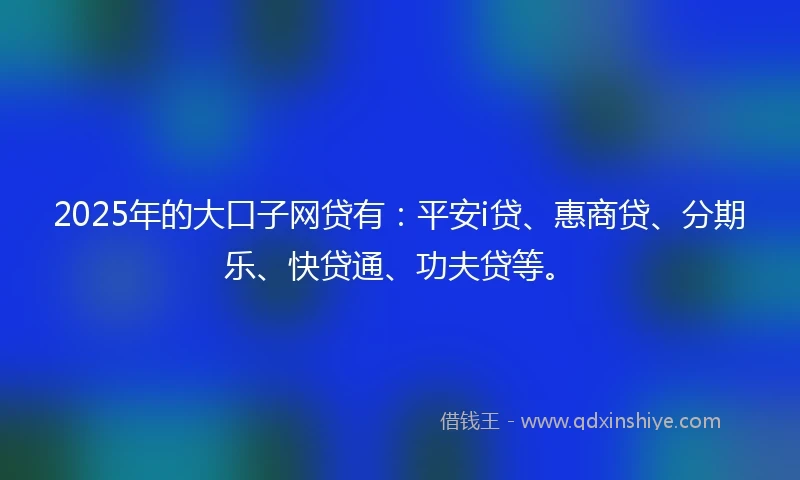 2025年的大口子网贷有：平安i贷、惠商贷、分期乐、快贷通、功夫贷等。