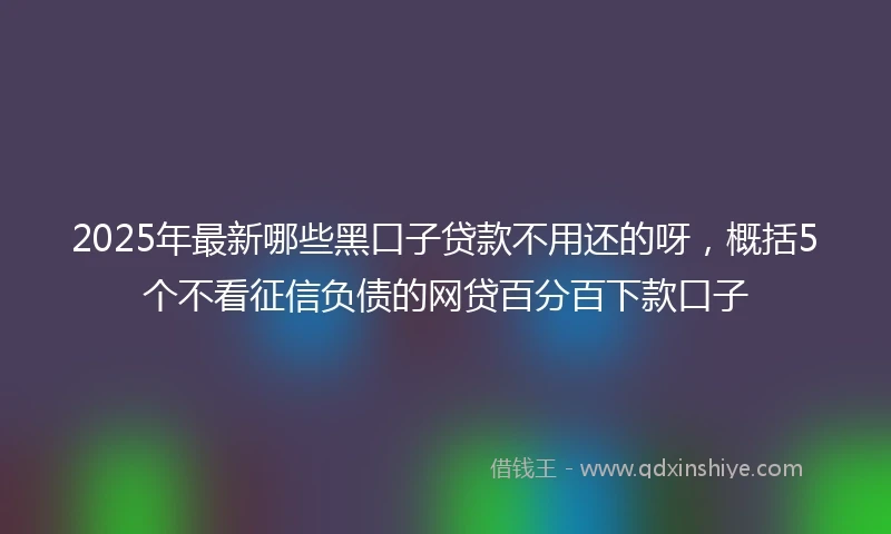 2025年最新哪些黑口子贷款不用还的呀，概括5个不看征信负债的网贷百分百下款口子