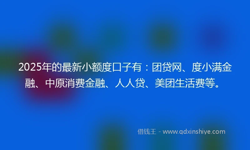 2025年的最新小额度口子有：团贷网、度小满金融、中原消费金融、人人贷、美团生活费等。