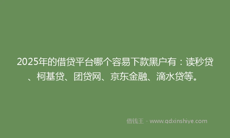 2025年的借贷平台哪个容易下款黑户有：读秒贷、柯基贷、团贷网、京东金融、滴水贷等。
