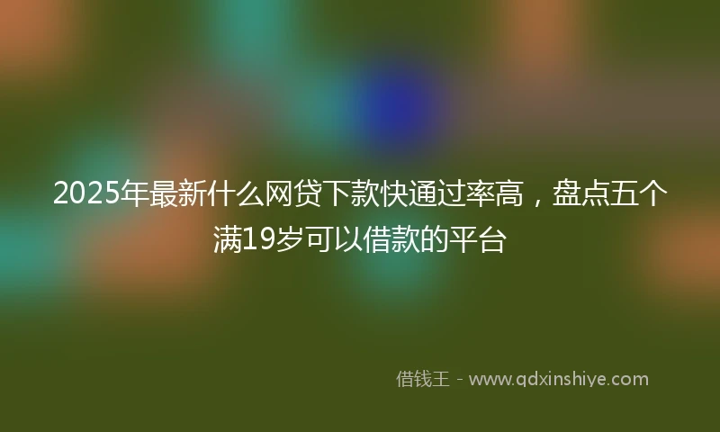 2025年最新什么网贷下款快通过率高，盘点五个满19岁可以借款的平台