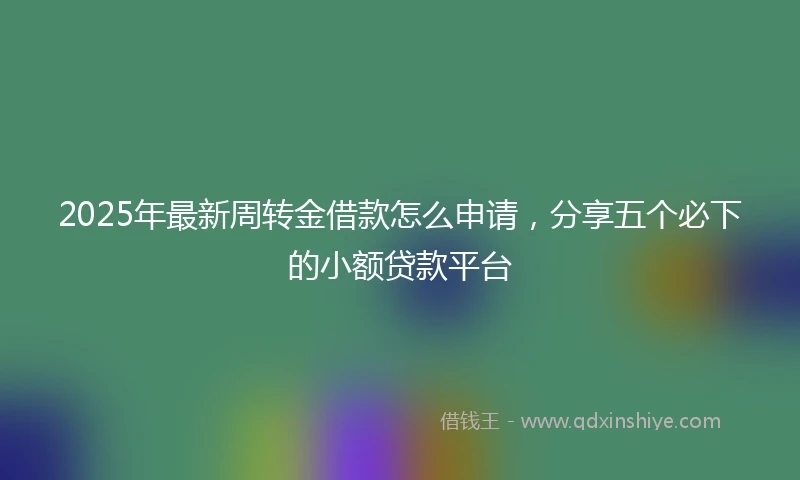 2025年最新周转金借款怎么申请，分享五个必下的小额贷款平台