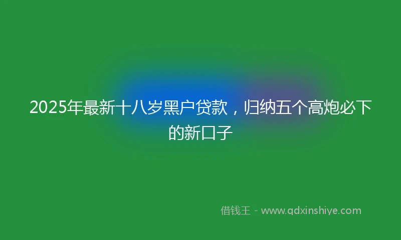 2025年最新十八岁黑户贷款，归纳五个高炮必下的新口子