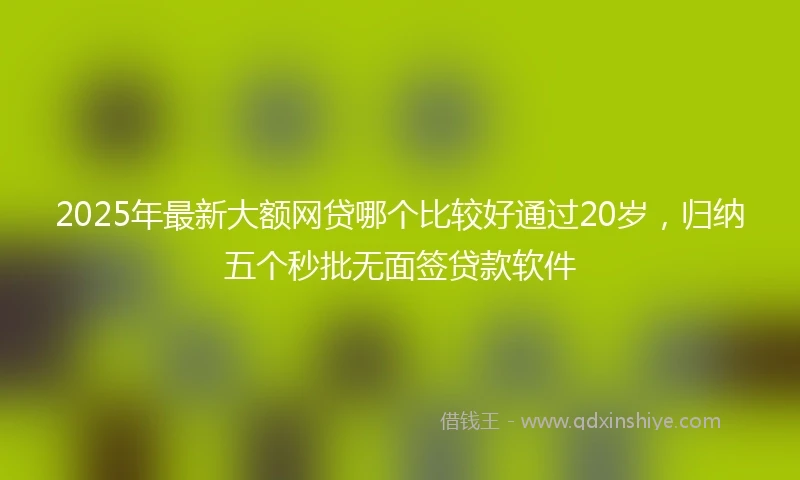 2025年最新大额网贷哪个比较好通过20岁，归纳五个秒批无面签贷款软件