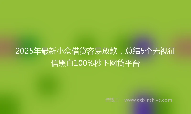 2025年最新小众借贷容易放款，总结5个无视征信黑白100%秒下网贷平台