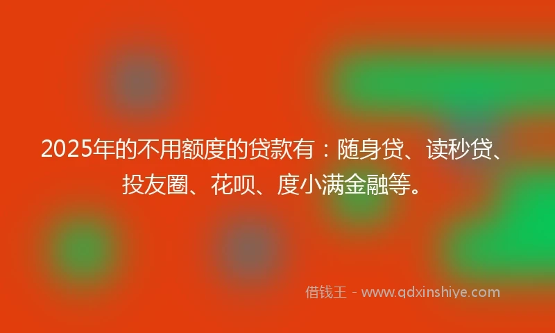 2025年的不用额度的贷款有：随身贷、读秒贷、投友圈、花呗、度小满金融等。