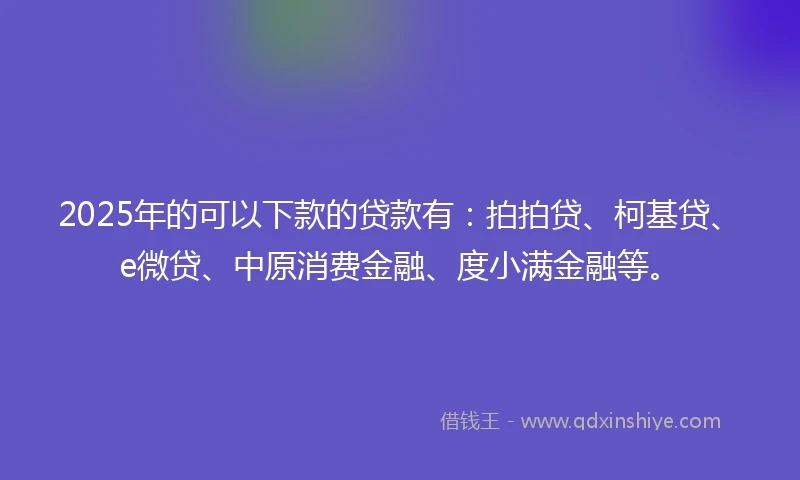 2025年的可以下款的贷款有：拍拍贷、柯基贷、e微贷、中原消费金融、度小满金融等。