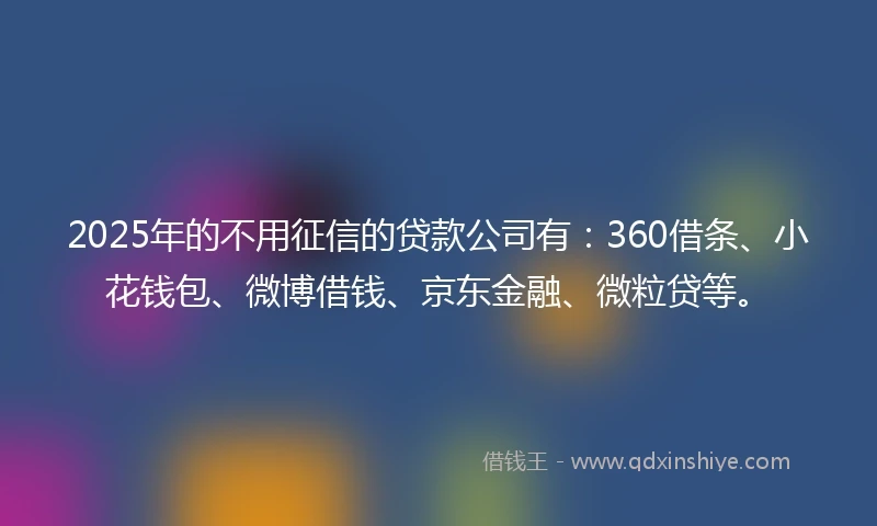 2025年的不用征信的贷款公司有：360借条、小花钱包、微博借钱、京东金融、微粒贷等。