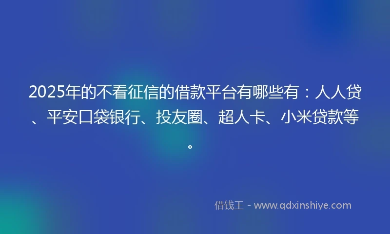 2025年的不看征信的借款平台有哪些有：人人贷、平安口袋银行、投友圈、超人卡、小米贷款等。