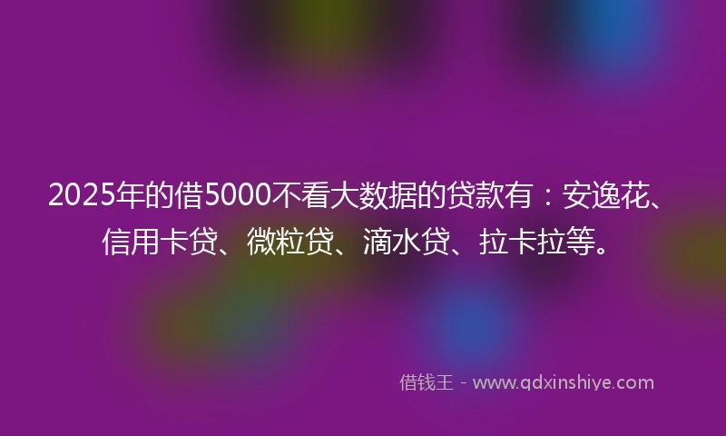 2025年的借5000不看大数据的贷款有：安逸花、信用卡贷、微粒贷、滴水贷、拉卡拉等。