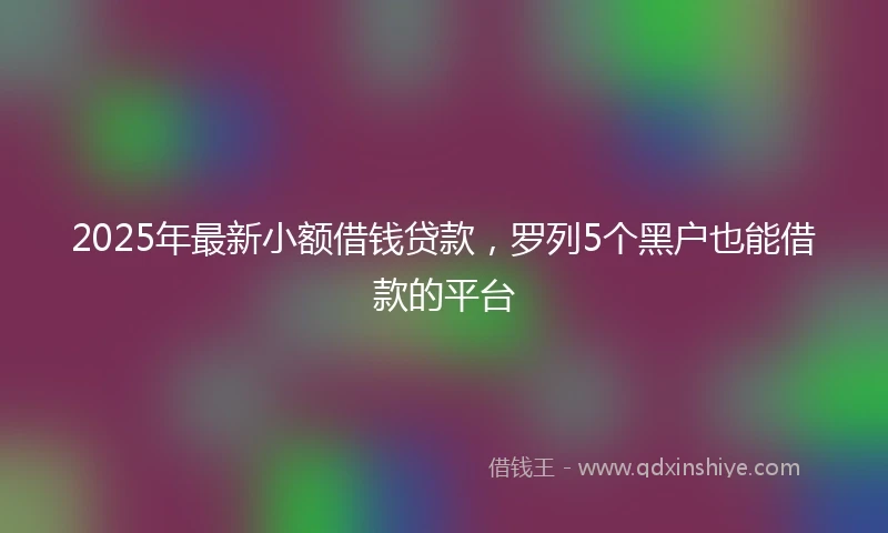 2025年最新小额借钱贷款,罗列5个黑户也能借款的平台