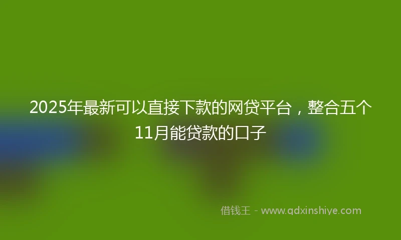 2025年最新可以直接下款的网贷平台，整合五个11月能贷款的口子