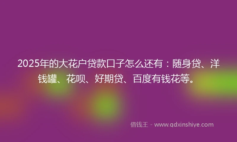 2025年的大花户贷款口子怎么还有：随身贷、洋钱罐、花呗、好期贷、百度有钱花等。
