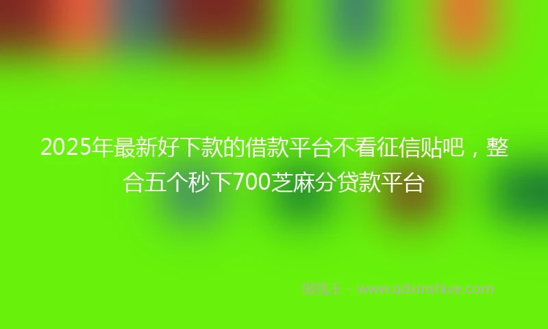 2025年最新好下款的借款平台不看征信贴吧,整合五个秒下700芝麻分贷款平台