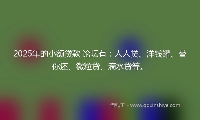 2025年的小额贷款 论坛有：人人贷、洋钱罐、替你还、微粒贷、滴水贷等。