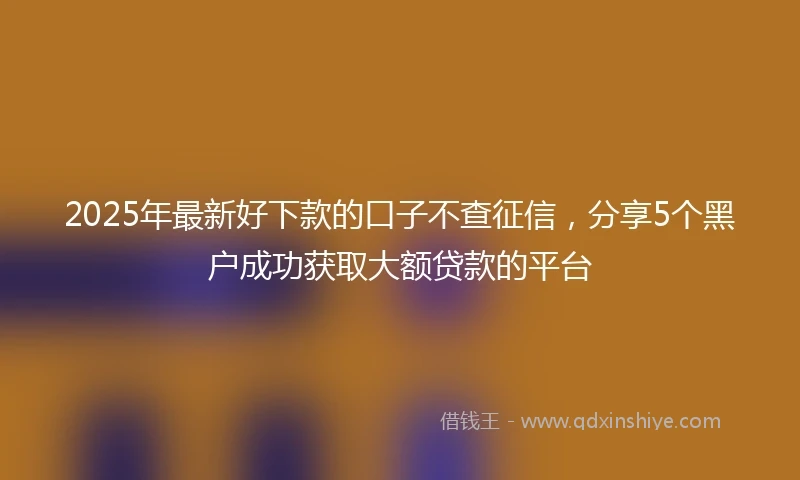 2025年最新好下款的口子不查征信，分享5个黑户成功获取大额贷款的平台