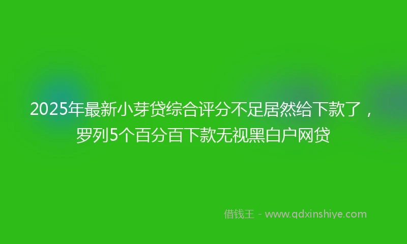 2025年最新小芽贷综合评分不足居然给下款了，罗列5个百分百下款无视黑白户网贷