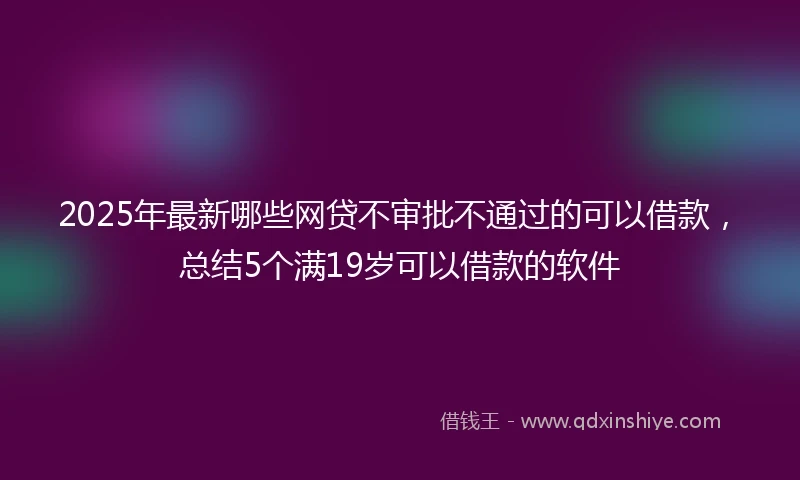 2025年最新哪些网贷不审批不通过的可以借款，总结5个满19岁可以借款的软件