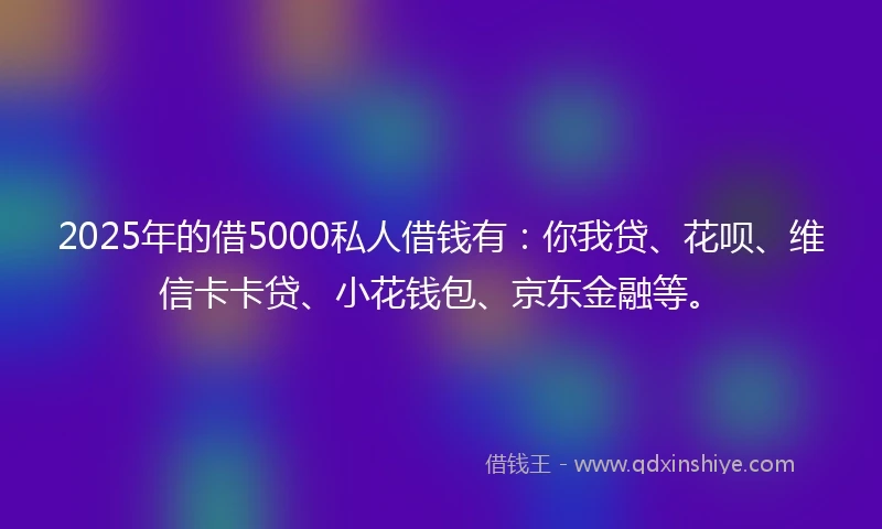2025年的借5000私人借钱有：你我贷、花呗、维信卡卡贷、小花钱包、京东金融等。