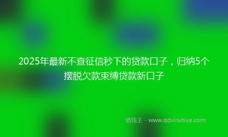 2025年最新不查征信秒下的贷款口子，归纳5个摆脱欠款束缚贷款新口子