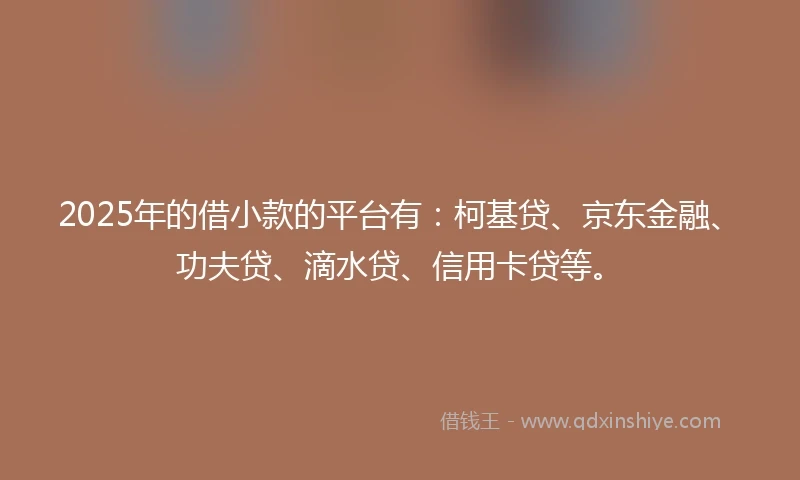 2025年的借小款的平台有：柯基贷、京东金融、功夫贷、滴水贷、信用卡贷等。