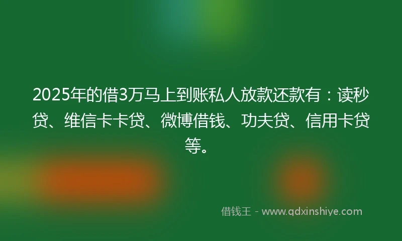 2025年的借3万马上到账私人放款还款有：读秒贷、维信卡卡贷、微博借钱、功夫贷、信用卡贷等。