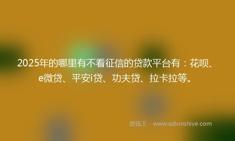 2025年的哪里有不看征信的贷款平台有：花呗、e微贷、平安i贷、功夫贷、拉卡拉等。