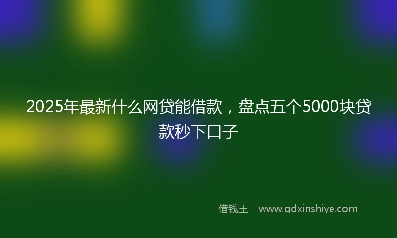 2025年最新什么网贷能借款，盘点五个5000块贷款秒下口子