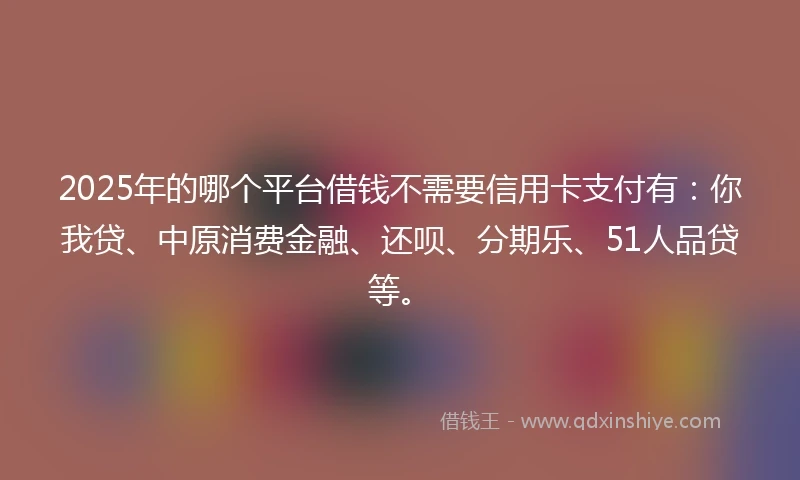 2025年的哪个平台借钱不需要信用卡支付有：你我贷、中原消费金融、还呗、分期乐、51人品贷等。