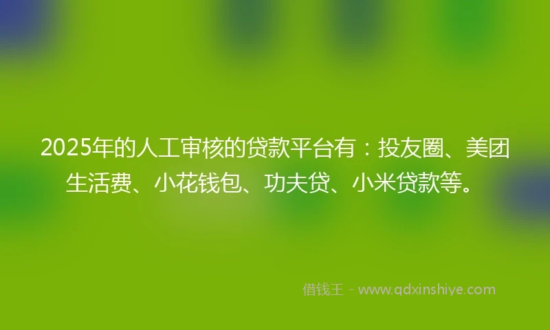 2025年的人工审核的贷款平台有：投友圈、美团生活费、小花钱包、功夫贷、小米贷款等。