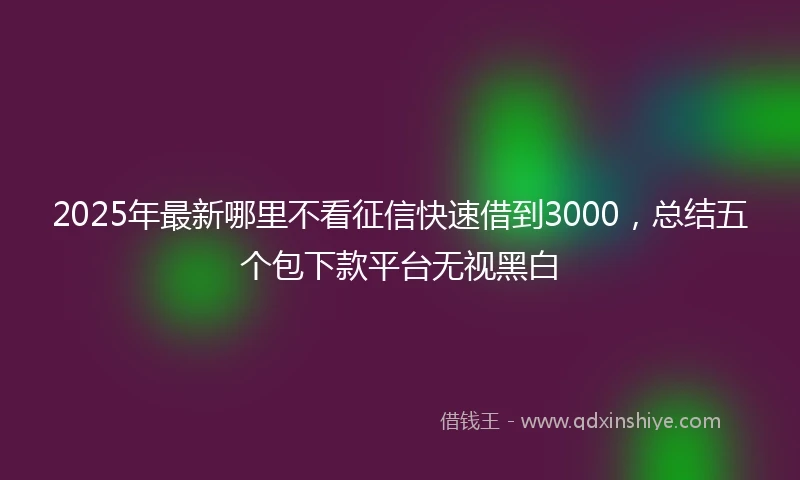 2025年最新哪里不看征信快速借到3000，总结五个包下款平台无视黑白