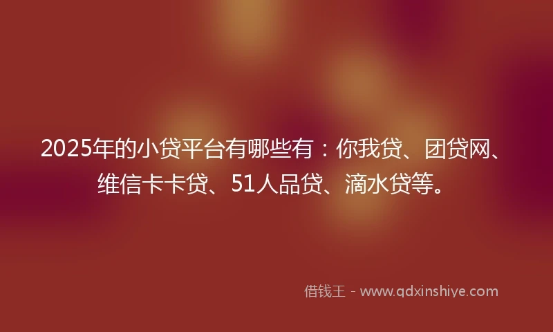 2025年的小贷平台有哪些有：你我贷、团贷网、维信卡卡贷、51人品贷、滴水贷等。