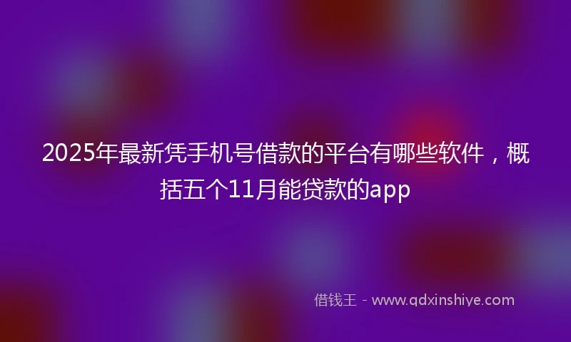 2025年最新凭手机号借款的平台有哪些软件，概括五个11月能贷款的app