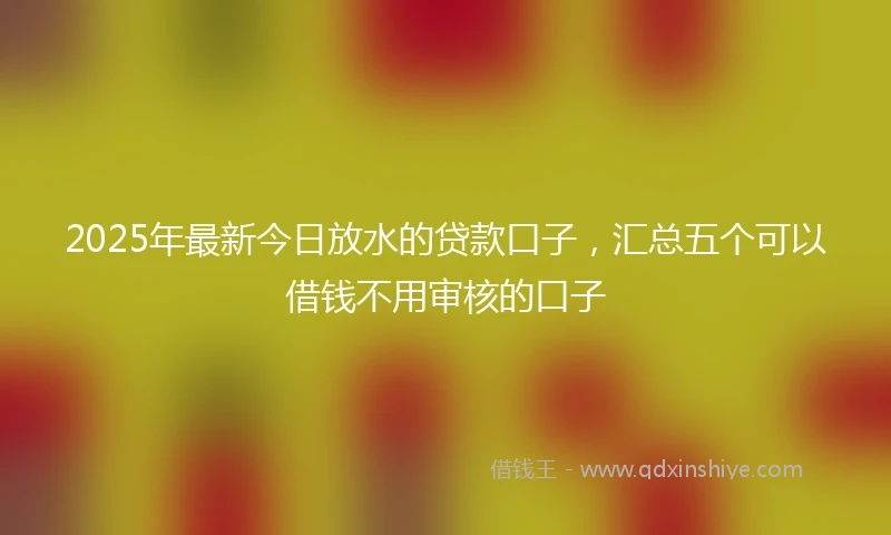 2025年最新今日放水的贷款口子，汇总五个可以借钱不用审核的口子