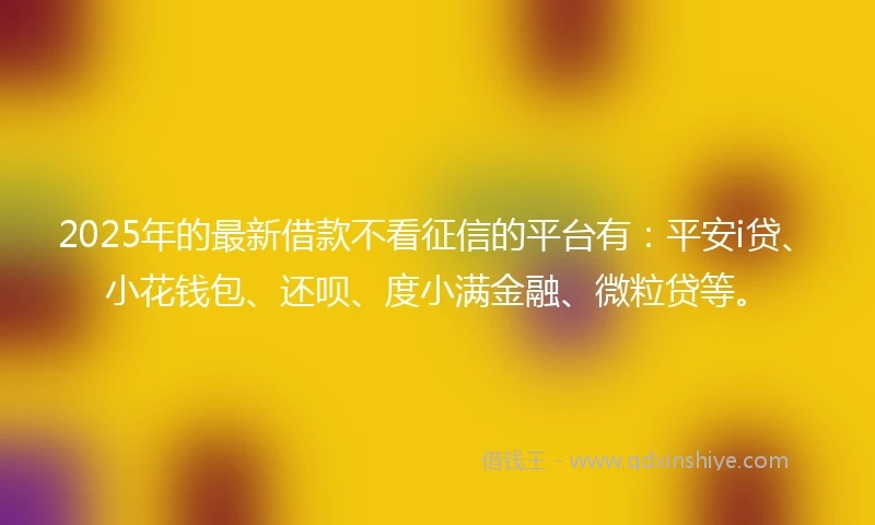 2025年的最新借款不看征信的平台有：平安i贷、小花钱包、还呗、度小满金融、微粒贷等。