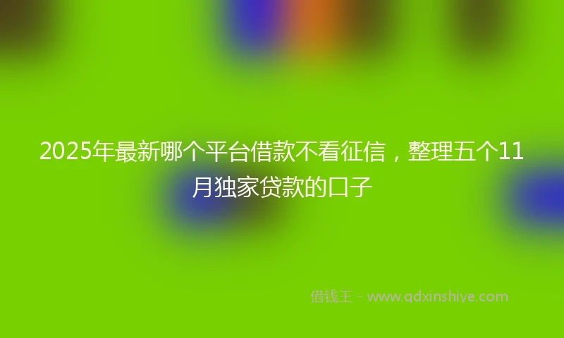 2025年最新哪个平台借款不看征信，整理五个11月独家贷款的口子