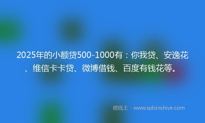 2025年的小额贷500-1000有：你我贷、安逸花、维信卡卡贷、微博借钱、百度有钱花等。