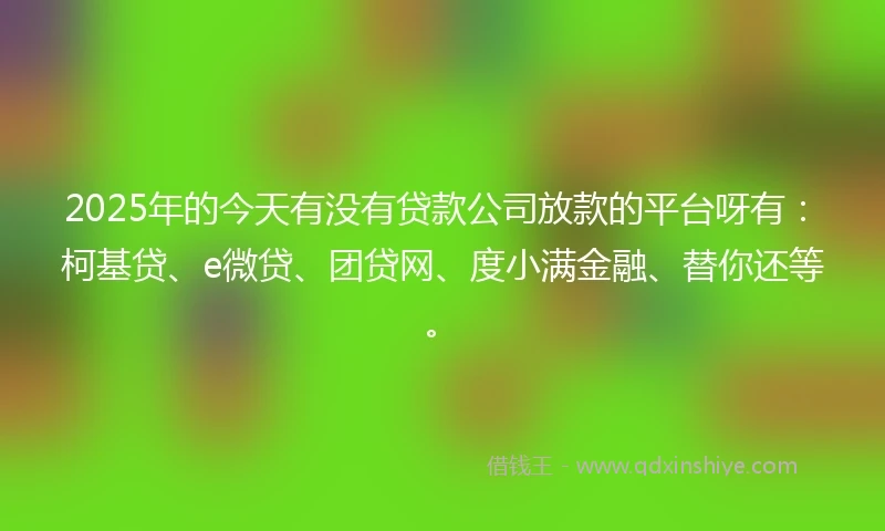 2025年的今天有没有贷款公司放款的平台呀有：柯基贷、e微贷、团贷网、度小满金融、替你还等。