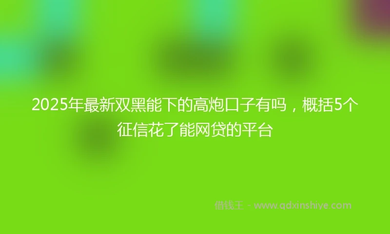 2025年最新双黑能下的高炮口子有吗，概括5个征信花了能网贷的平台