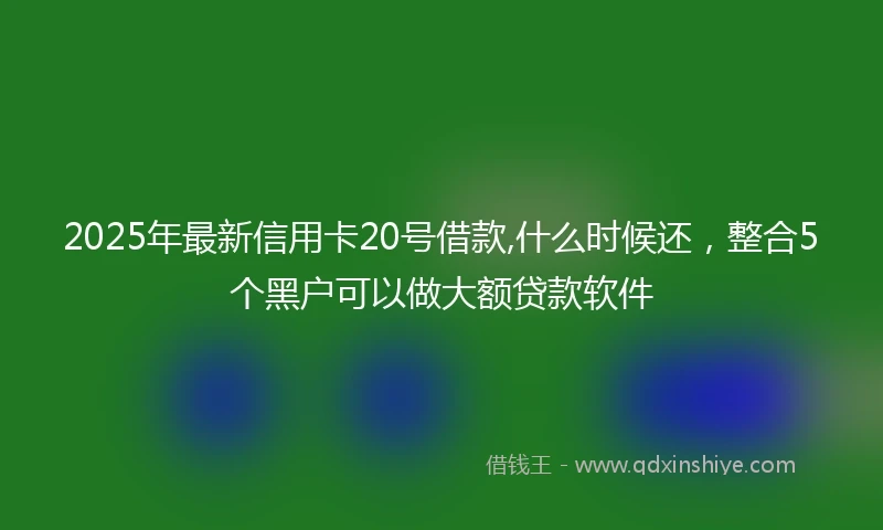 2025年最新信用卡20号借款,什么时候还，整合5个黑户可以做大额贷款软件